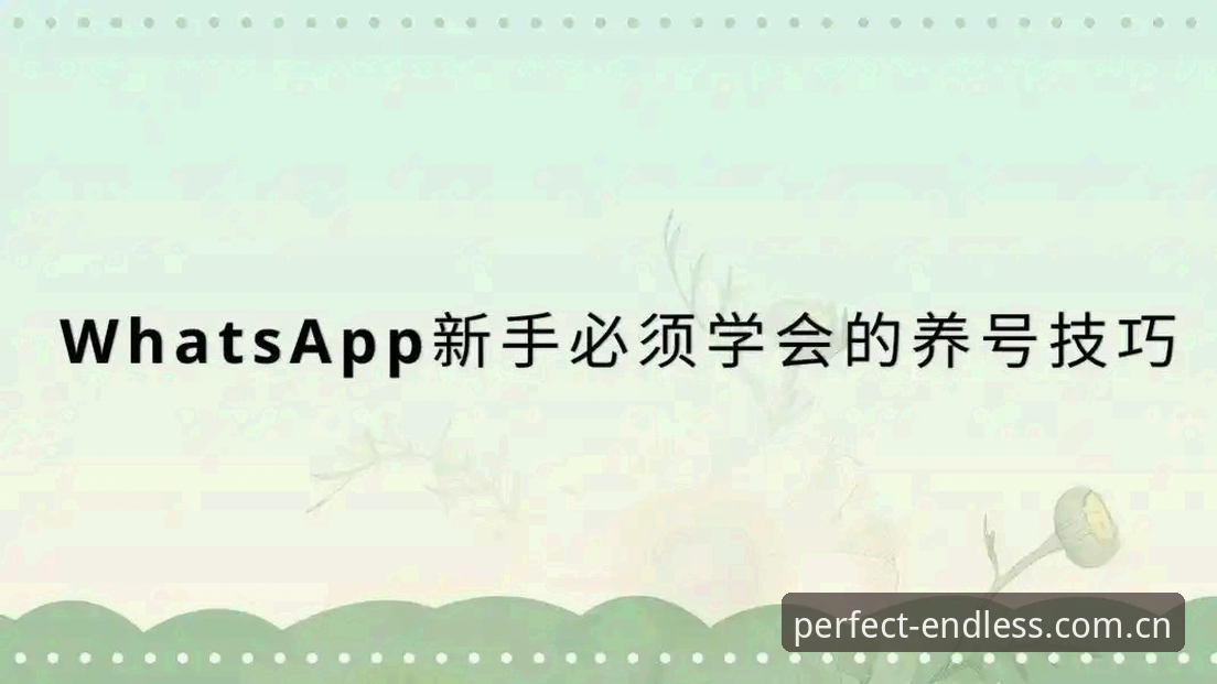 完美体育官方网址推荐 完美体育365平台实用指南:从官方网址获取到App下载的完整操作技巧